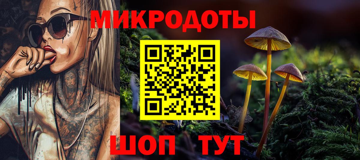 Псилоцибиновые грибы Psilocybine cubensis Норильск