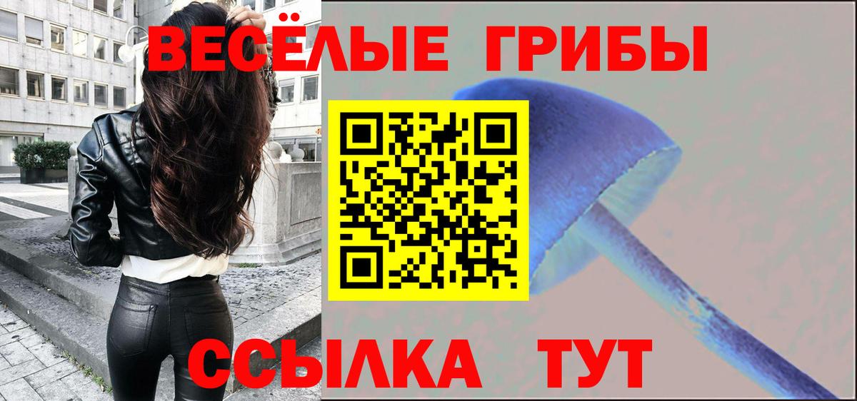 Псилоцибиновые грибы Psilocybe  Вход с VPN  где продают наркотики  Норильск 